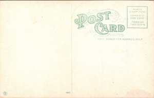 Minnehaha Falls Pikes Peak Colorado Antique Divided Back Postcard Unposted 