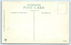 BRIDGETOWN, BARBADOS  View at QUEEN'S PARK ca 1910s  Postcard