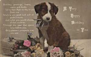 CUTE PUPPY DOG-BIRTHDAY GREETINGS FROM FIELDSIDE LONDON RD-ROTARY PHOTO POSTCARD