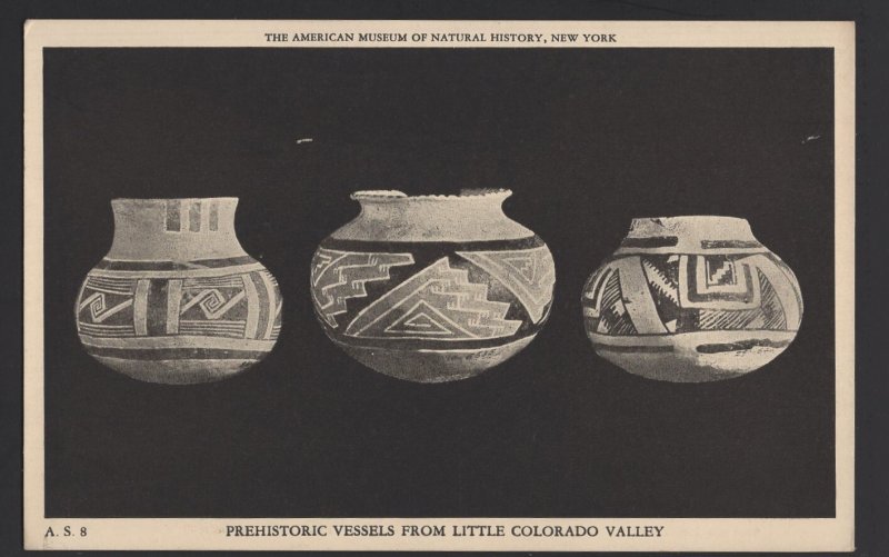 NY American Museum of Natural History Vessels from Little Colorado Valley ~ WB