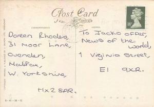 White horse and pigeons postcard