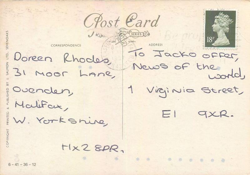 White horse and pigeons postcard