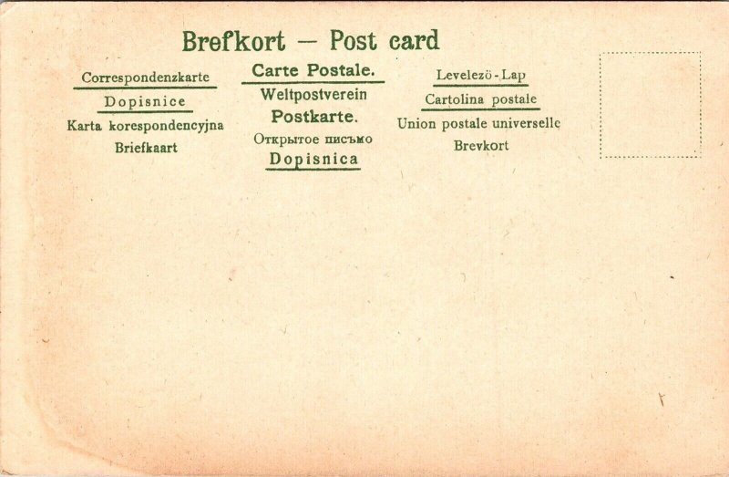 Fran Sveriges Bygder Skaine Antique Postcard UNP UDB Brefkort Unused 