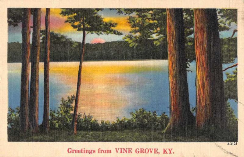 Vine Grove Kentucky Greetings From sun rising on lake antique pc Z43828