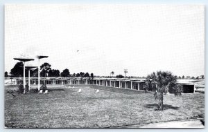 1930-40's VENICE FLORIDA WARM MINERAL SPRINGS INN MOTEL HEALTH SPA POSTCARD