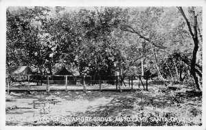 DANCE PLATFORM SYCAMORE GROVE AUTO CAMP SANTA CRUZ CALIFORNIA POSTCARD (c.1930s)