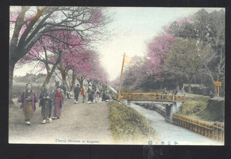 KOGENAI JAPAN JAPANESE CHERRY BLOSSOMS VINTAGE COLOR POSTCARD