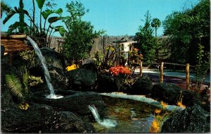 Florida Cypress Gardens Beautiful Oriental Garden