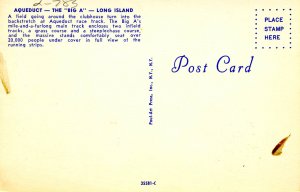 NY - Long Island. Aqueduct, Horse Racing