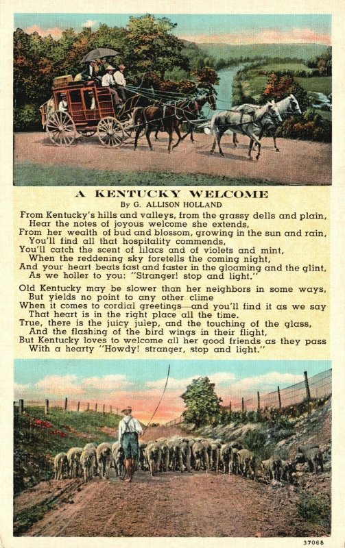 Vintage Postcard A Kentucky By. G. Allison Holland Grassy Dells