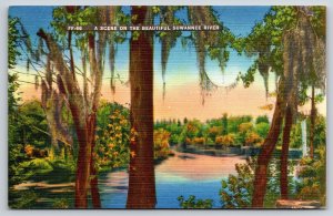 Florida~Scene On The Beautiful Suwannee River~Publ Asheville Co~Vintage Linen PC