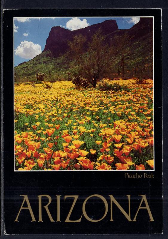 Poppies,Picacho Peak,AZ BIN