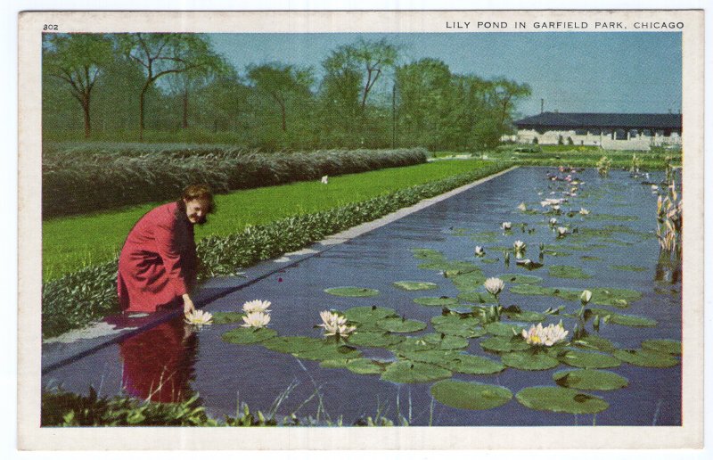 Chicago, Lily Pond In Garfield Park