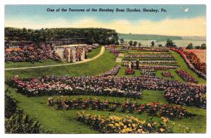 RARE 1930-1945 One of the Terraces of the Rose Flower Garden Hershey PA Linen