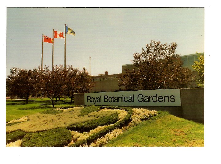 Royal Botanical Gardens, Headquarters, Hamilton, Ontario Large 5X7 Postcard