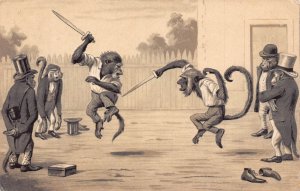 Fantasy Humanized Monkeys Battle with Swords 1903 embossed postcard  B926