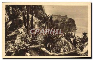 Old Postcard Monte Carlo Exotic Gardens and the Rock of Monaco