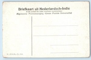 Java Indonesia Postcard Greetings from Buitenzorg Nat'l Botanical Garden c1910