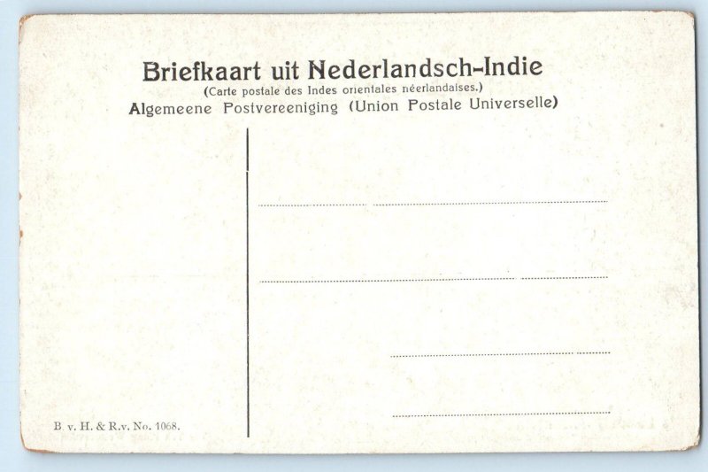 Java Indonesia Postcard Greetings from Buitenzorg Nat'l Botanical Garden c1910