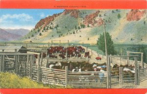 Horses & Cattle in A Western Corral Postcard Partial Orange Border Linen Unused