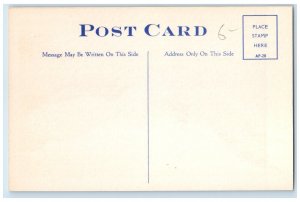 c1950's Two Men Riding Exaggerated Fish Fishing Net Montreal Canada Postcard