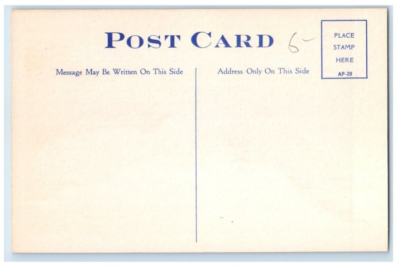 c1950's Two Men Riding Exaggerated Fish Fishing Net Montreal Canada Postcard