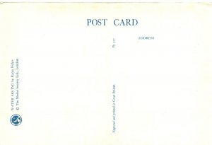 Medici Postcard Racy Helps PK317 Dressed Animals Water Skiing