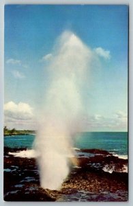 Kauai's Spouting Horn  Wisconsin   Postcard