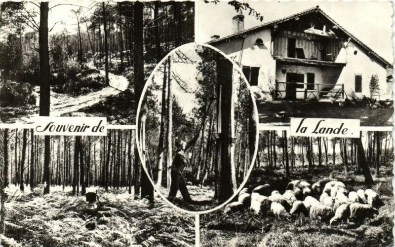 CPA Souvenir de la Lande (111477)