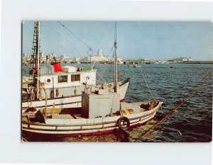 Postcard Part of the fishing fleet Beautiful San Diego harbor San Diego CA