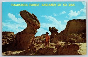 South Dakota~Toadstool Forest Scene @ Badlands Natl Park~Dexter Press~Vintage PC