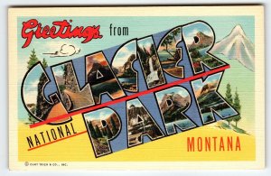 Greetings From Glacier Park Montana Postcard Large Letter Curt Teich Mountains