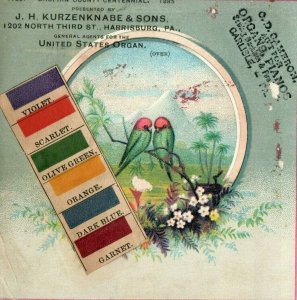 J.H Kurzenknabe & Sons Organs & Pianos, Lovebirds Branch Mountain Flowers Z9