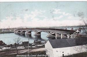 Pennsylvania Harrisburg Camel Back Bridge