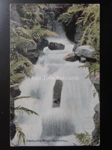 Yorkshire SHEFFIELD Endcliffe Wood Waterfall c1905 Postcard by The Park Series