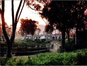 Santa Catalina Island, California CA El Rancho Escondido 5x7 Postcard KN
