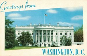 The White House Washington D.C. Postcard 2T6-534 