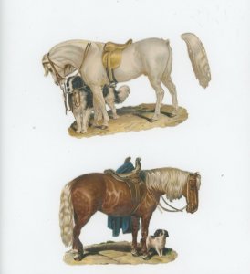 1880's Lovely Horses Lot Of 2 Victorian Die Cut Trade Card #6TE