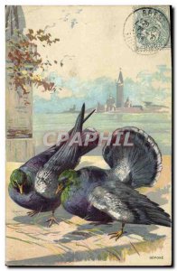 Postcard Old Pigeon Dove