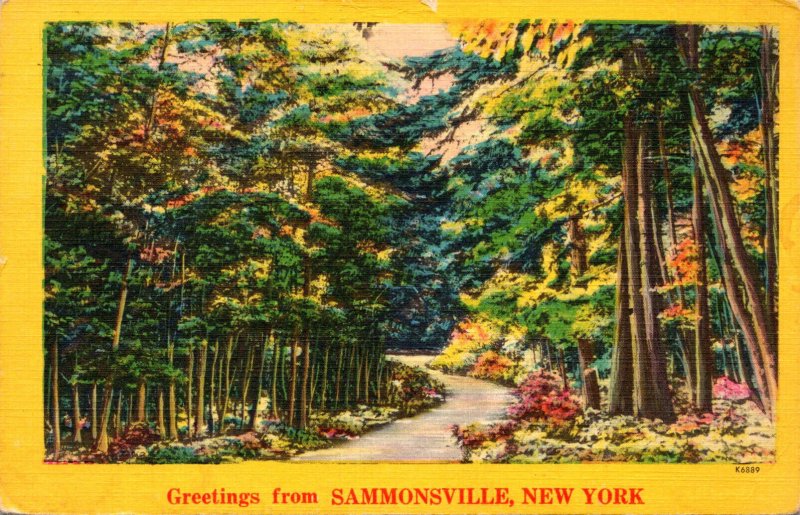 New York Greetings From Sammonsville