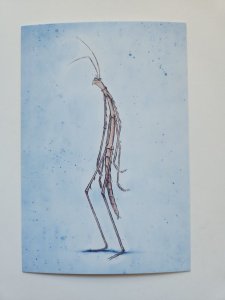 A Bug's Life Slim Stick Bug Concept Art Drawing by Mark Holmes Pixar Postcard