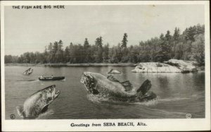 Seba Beach Saskatchewan Giant Fish Fishing Exaggeration Real Photo Postcard