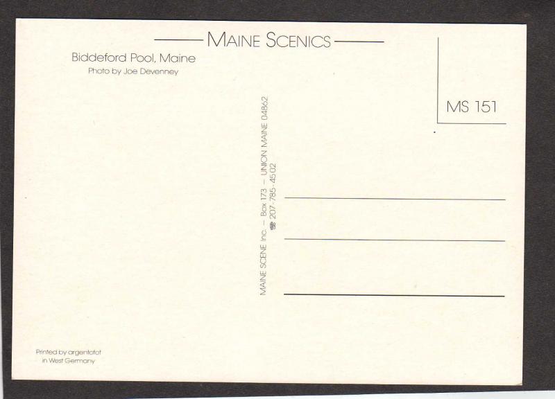 ME Biddeford Pool Cottages Marsh Area Maine Postcard PC