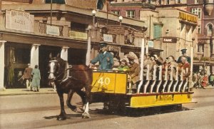 Toast Rack. Douglas. I.O.M. Horse A Tuck Postcard Serie  DLS 51