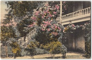 Adobe House GRASS VALLEY, CA Home-Coming Week 1911 Hand-Colored Postcard