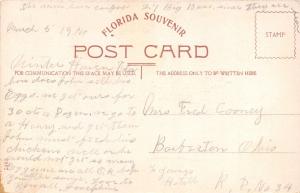 FLORIDA RAZOR BACK WILD PIG~SOUVENIR POSTCARD 1914