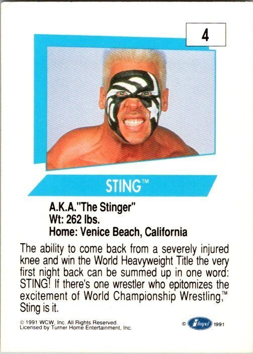 1991 WCW Wrestling Card Sting sk2112