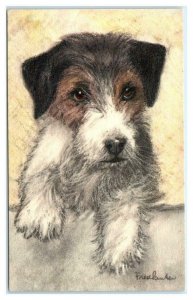 Cute FOX TERRIER  c1940s Art by Freelander #69 Swiss Postcard