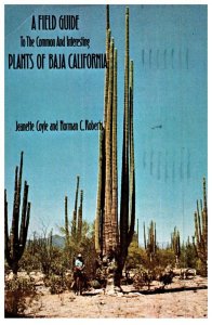 Field Guide To Common And Interesting Plants Of Baja Cactus Postcard Posted 1976