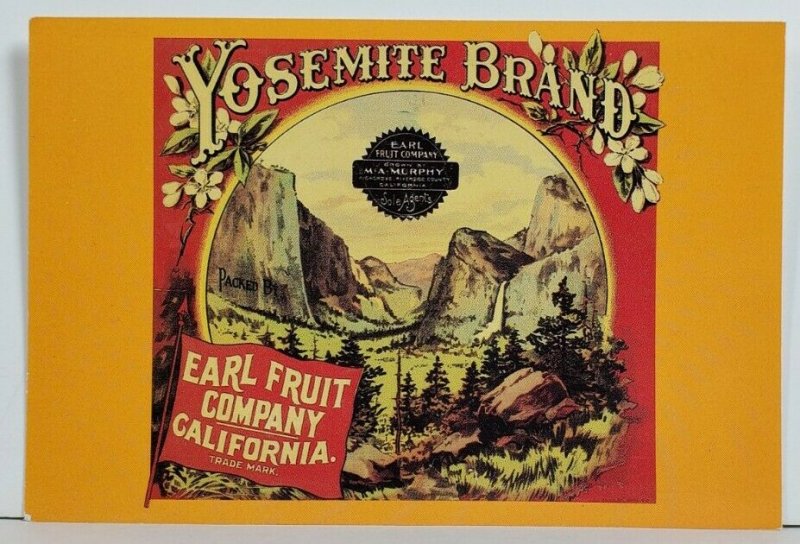 Advertising YOSEMITE BRAND Earl Fruit Company California Postcard P2